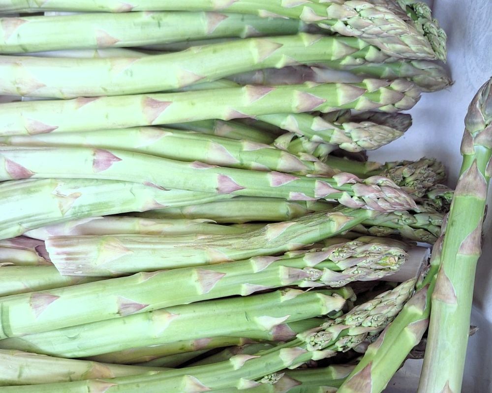 Viele verschiedene Spargel liegen in einer Kartonbox.